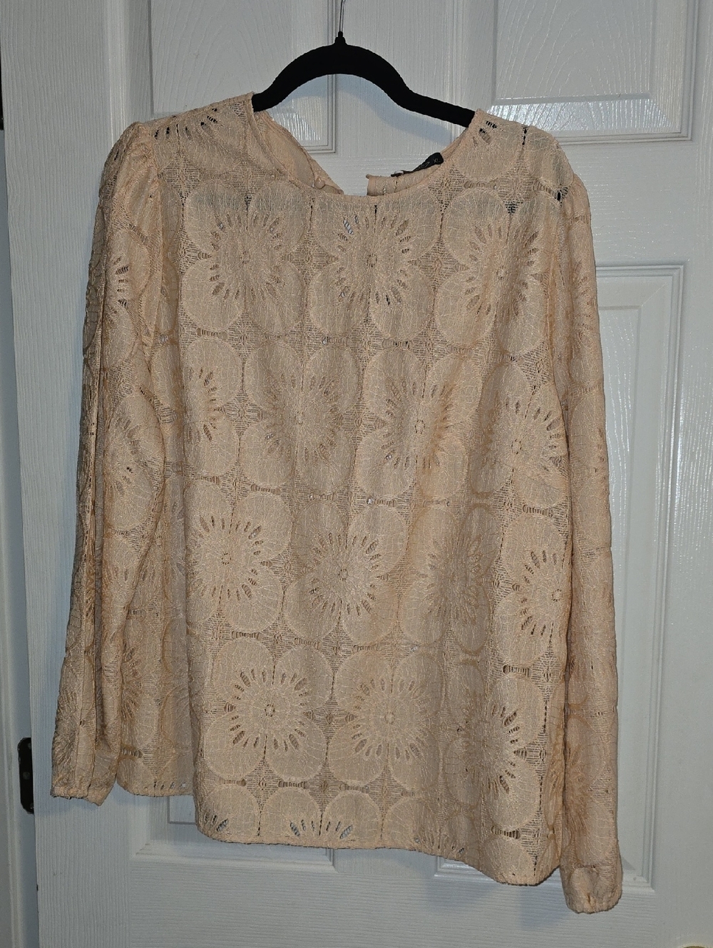 Lace Crochet Long-Sleeve Blouse in Cream